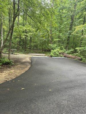 Campsite at Look Rock Campground