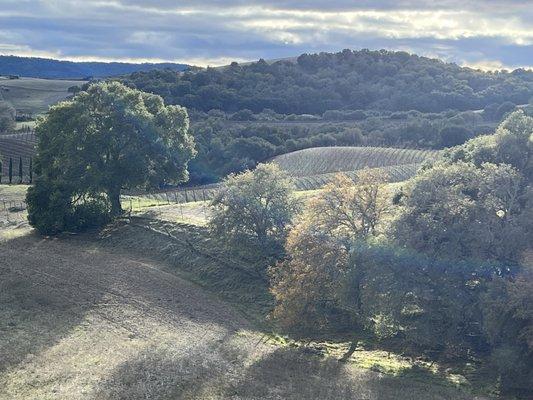 The Pesenti ranch on Live Oak Rd., Paso Robles.  Almost 35 acres in the heart of wine country with 2 unique homes.