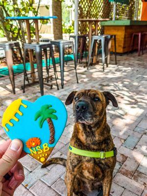 Dog friendly patio and silly willies pet boutique right next store selling these dog cookies