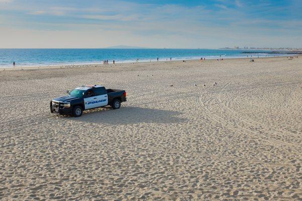 Patrolling the beach