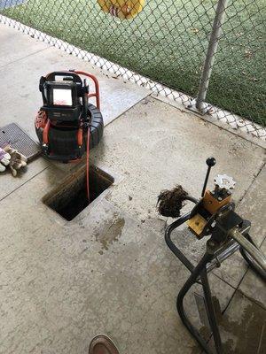 Snaking out a main sewer line.