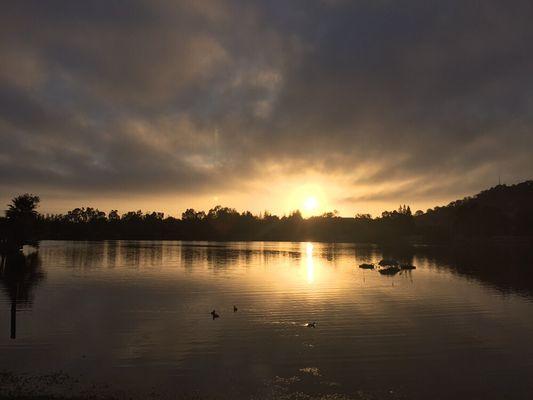 Michelle pro dog walker Almaden Lake Park