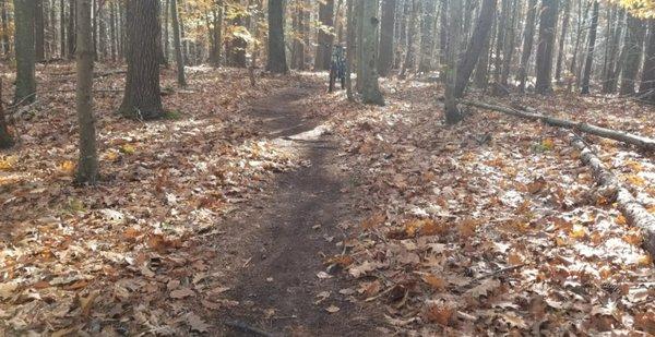 Trail in autumn