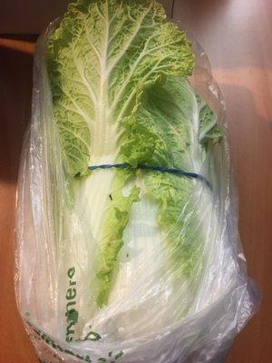 Napa Cabbage