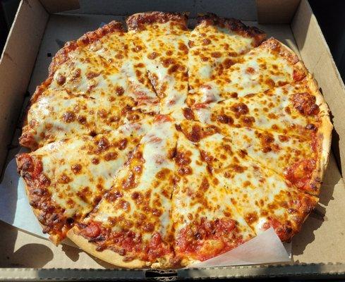 A delicious cheese pizza