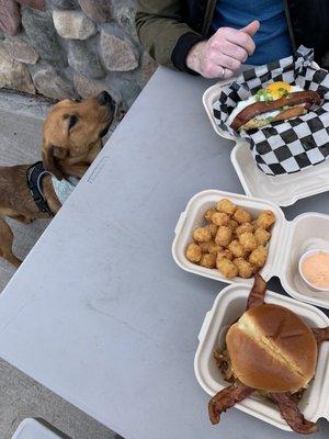 Best in show chicken sandwich, tots, alpha dog