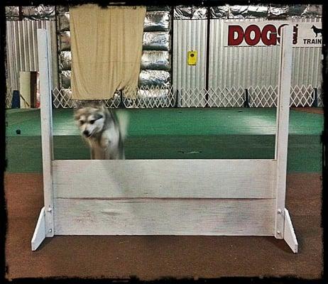 Agility Training