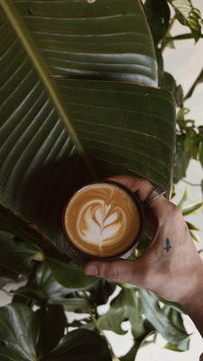 Everyday is a good day with Plants + Coffee