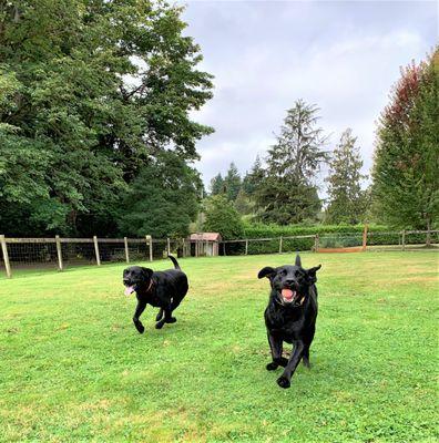 Friends and toys! What more can we ask for?