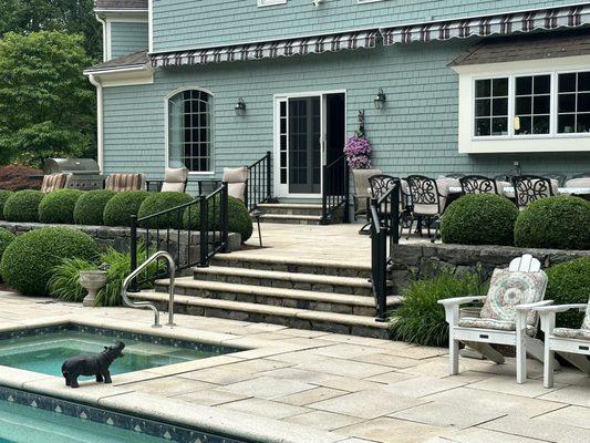 Railings installed on back door and pool access steps.