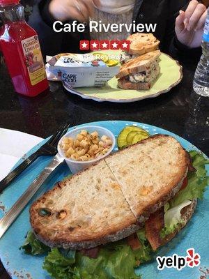 Spicy BLT and cranberry chicken salad!! Really goid