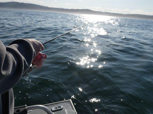 Fishing out near the Charleston Marina