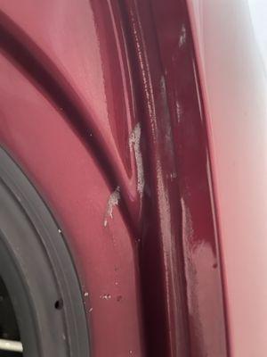 Mold on the side of my trunk