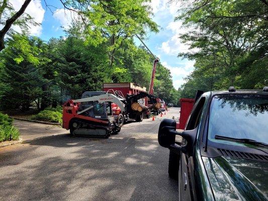 Mechanized Tree work