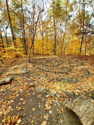 The Green Labyrinthe