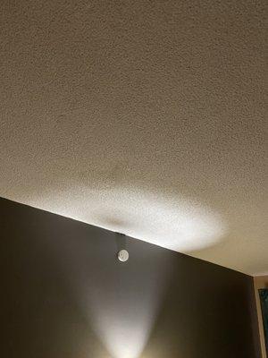 Stains on the ceiling in the bedroom