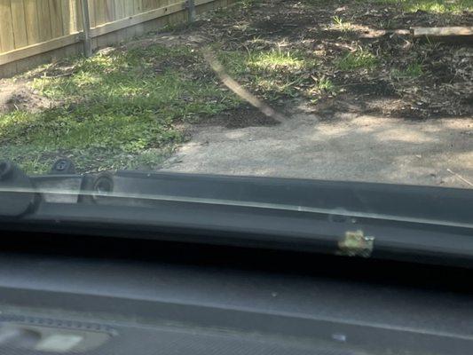 This pic shows a crack that runs the entire width of the windshield. Not disclosed, not visible in photos on dealer's website.