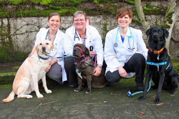 Drs. Snyder, ten Broeke, and Winkler