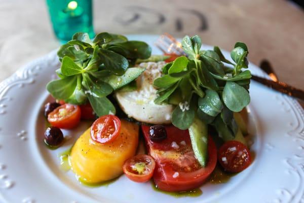 Tomato and Burrata