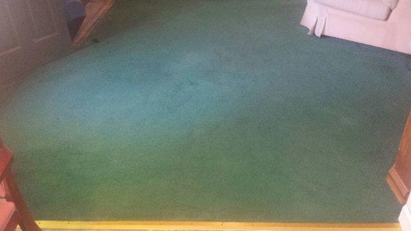 After picture carpet shampooing job stains removed and odor removed , by Amoria's Cleaning Services LLC