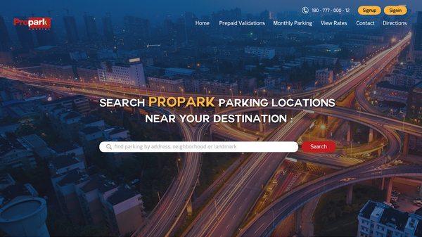 Parking in Manhattan Website Concept