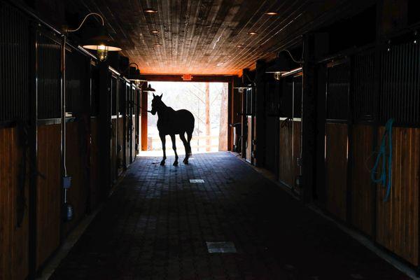 Equestrian Center at Oxford Treatment Center