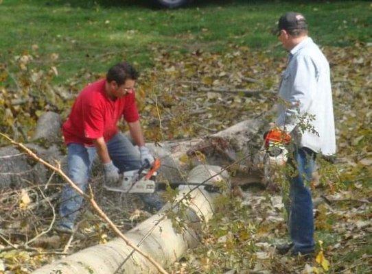 Chainsaw services