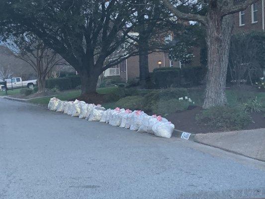 Job consisted of removing 30 bags of heavy, mostly mulch, yard debris.