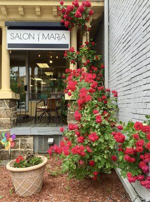 Salon Maria Brookline