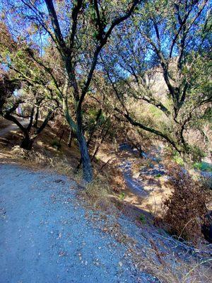 Fire damage along the new trails - Pics from their brief reopening back in mid 2021