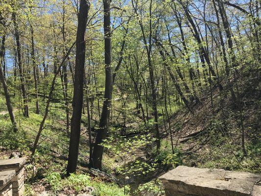 Ravine along the dirt and gravel walking path heading down to beach