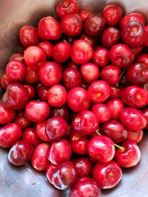 $6.50 a lbs cherries. They are so fresh,  juicy  5/27/24