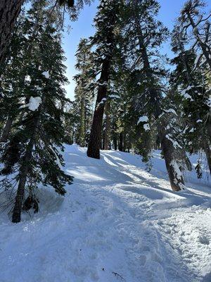 Tahoe Trails