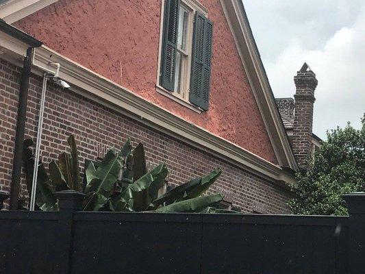 French Quarter Stucco