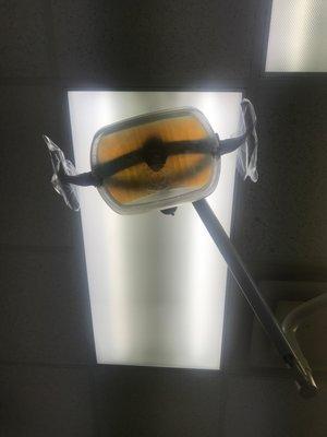 Dental Light