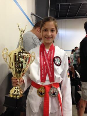 taekwondo grand champion