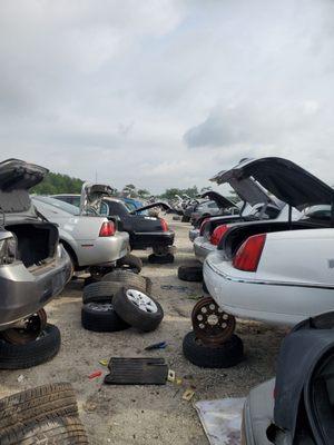 A sea of town cars