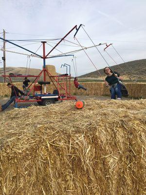 Family fun at the Burley Straw Maze