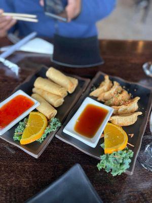 Chicken Gyoza & Spring Rolls