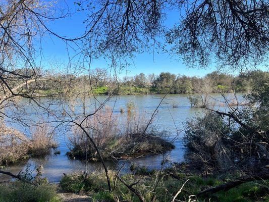 American River Ancil Hoffman Park. After the rains.