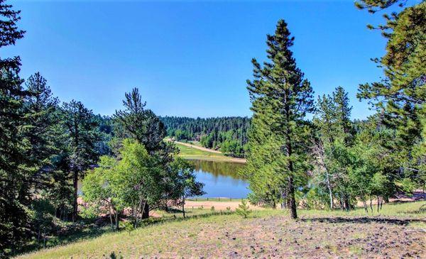 Another SOLD by Sheri Davis LAND beautiful lot in Colorado Mountain Estates Road, Florissant, CO