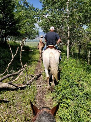 Aspen grove, Paradise Valley