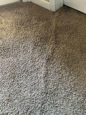 Carpet ripping up