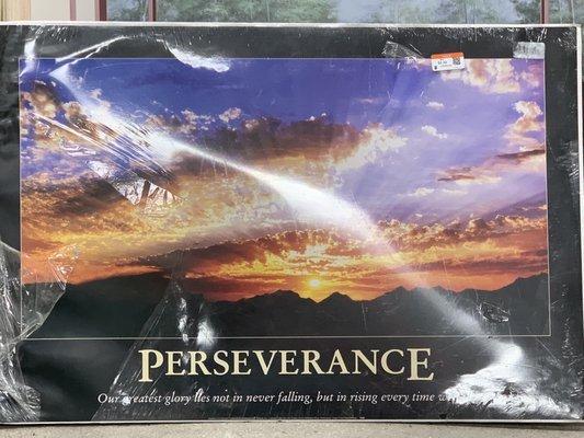 Perseverance