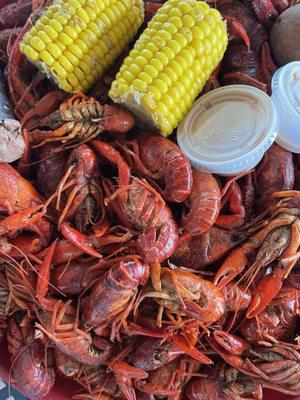 Boiled Louisiana Crawfish