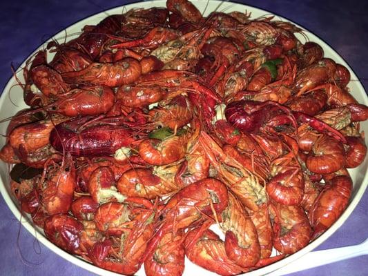 Live fresh crawfish