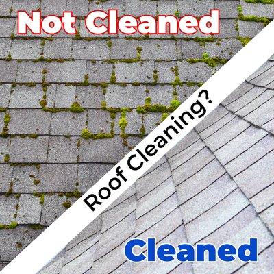 Get your roof free of  moss and black streaks