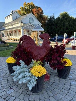 Roosters throughout the property