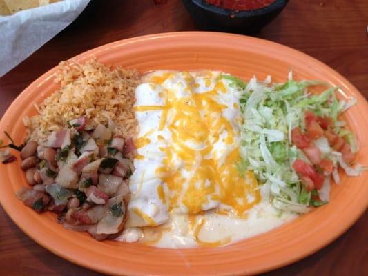 Sour cream chicken enchilada