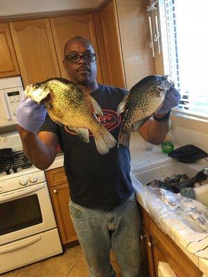 Crappie on the chew